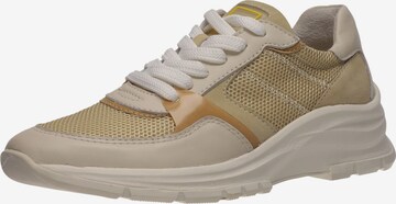 Baskets basses SALAMANDER en beige : devant