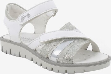 PRIMIGI Sandals & Slippers 'Pax' in White