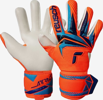 REUSCH Torwarthandschuhe 'Attrakt Gold X NC' in Blau: Vorderseite