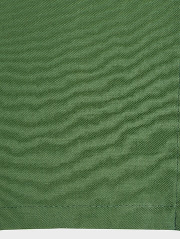 TOM TAILOR Curtains & Drapes in Green