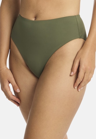 SEA LEVEL Bikinihose 'Essentials' in Grün: Vorderseite