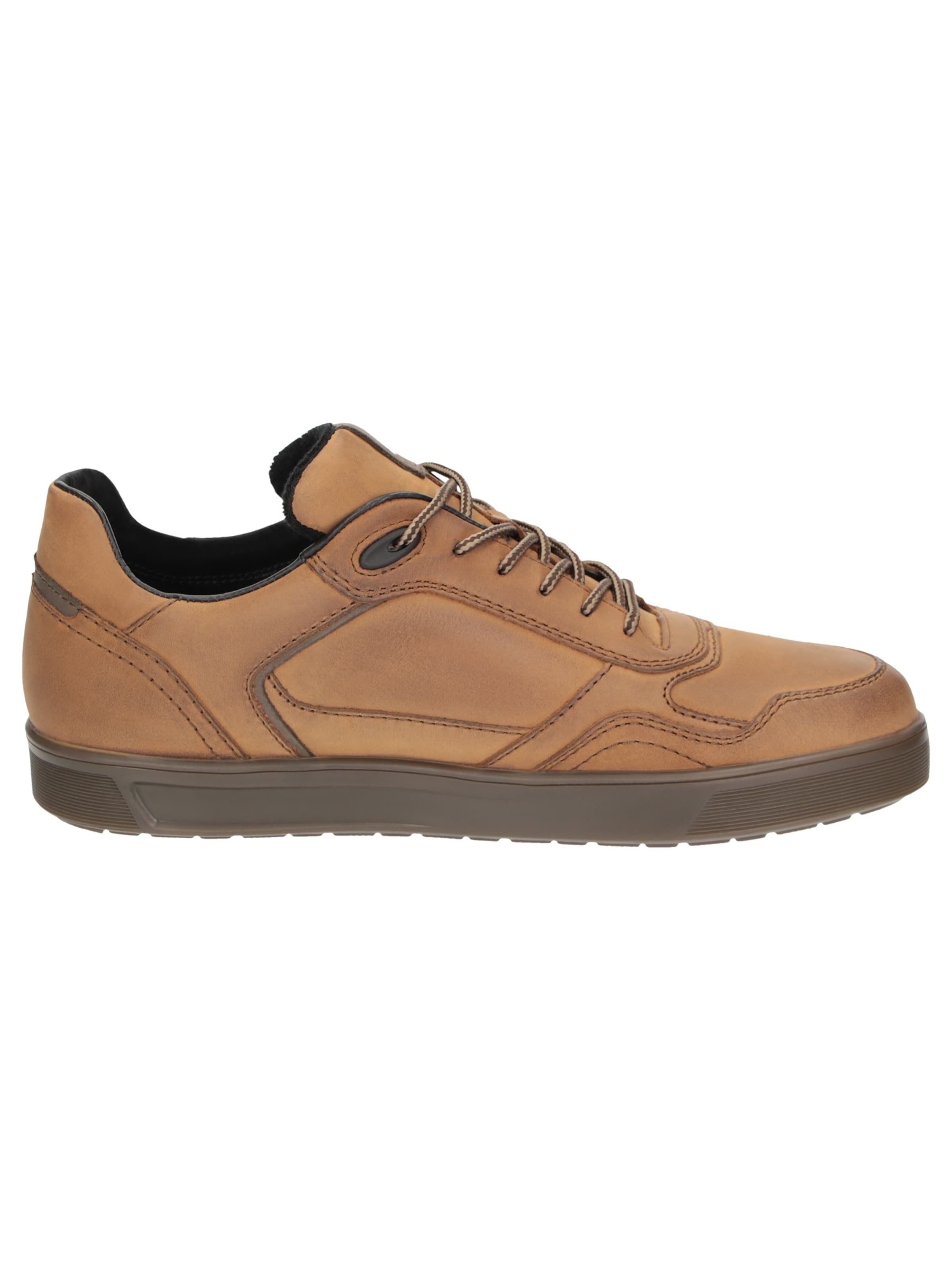SIOUX Sneakers laag ' Tedroso-706-TEX ' in Bruin