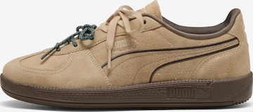 Baskets basses PUMA en beige : devant