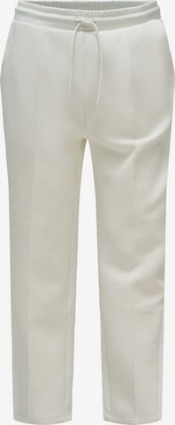 Salsa Jeans Hose in Beige: Vorderseite