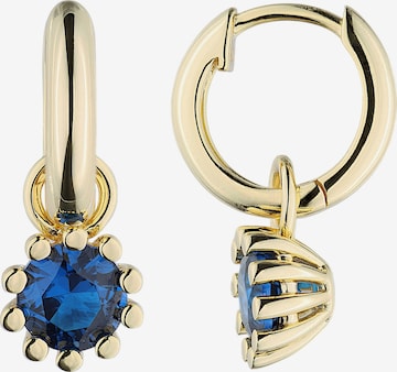 Jobo Ohrringe in Gold: Vorderseite