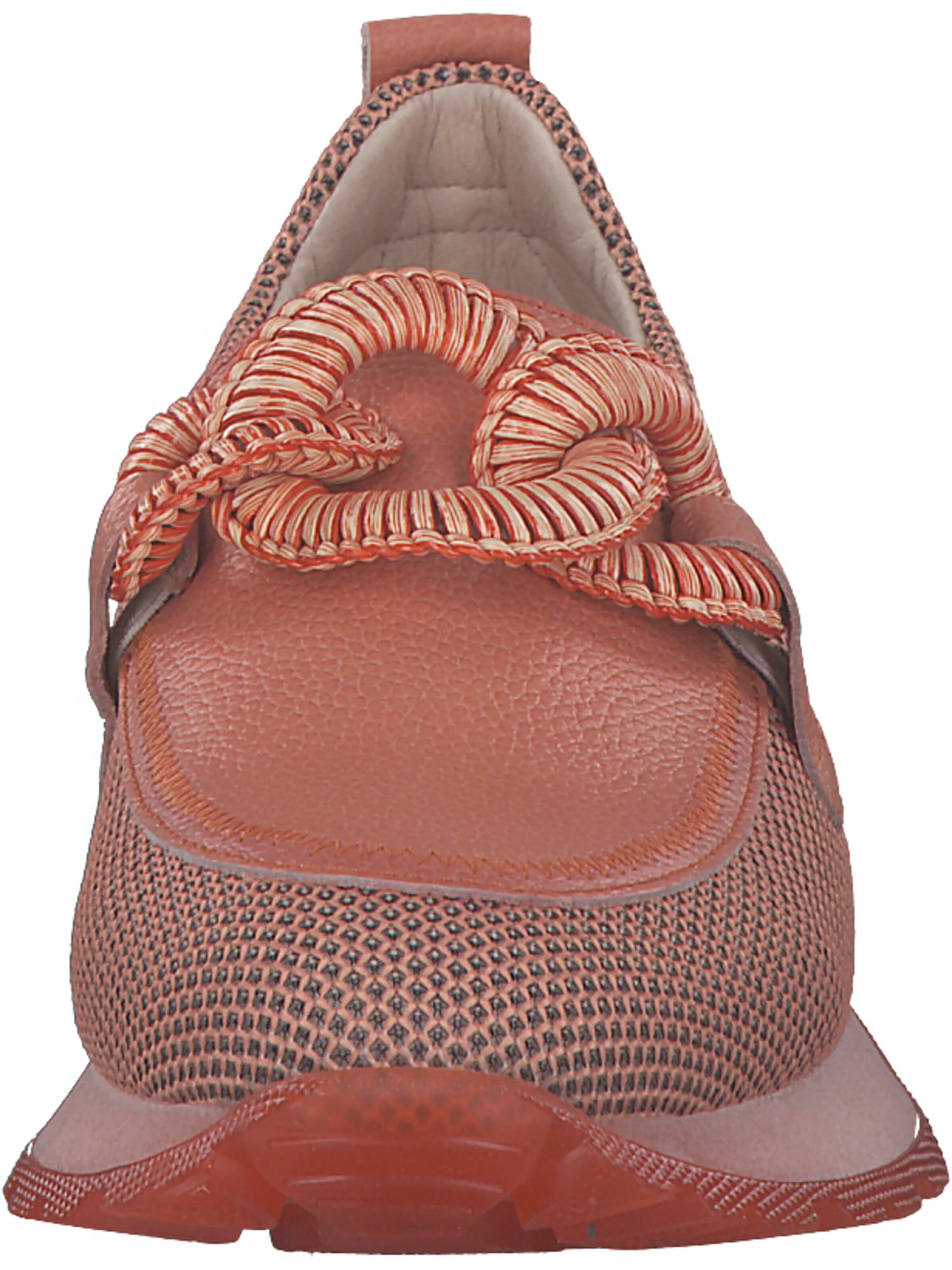 Hispanitas Moccasin 'Kansas HV254065' in Red