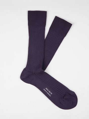 AN IVY Sokker i lilla: forside