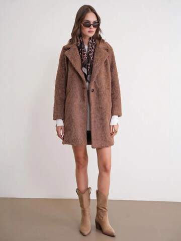 MixRay Between-Seasons Coat in Brown
