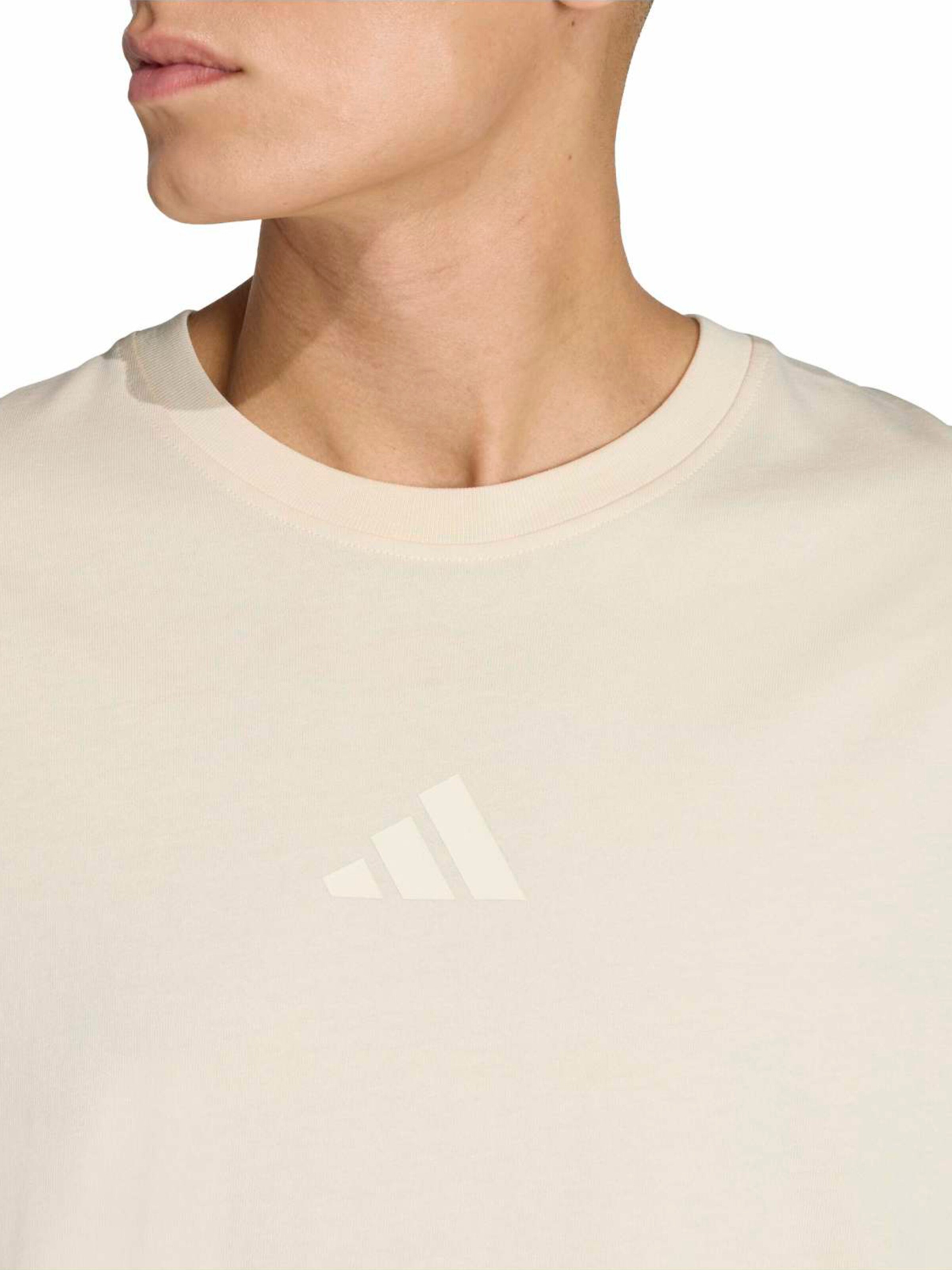 ADIDAS TERREX Функциональная футболка 'Multi' в Бежевый