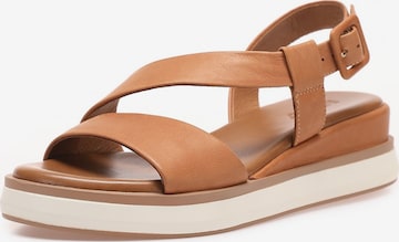 INUOVO Sandals in Brown: front
