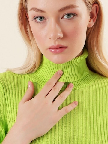 Bigdart Sweater in Green