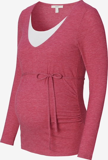 Esprit Maternity Majica u ljubičasto crvena / bijela, Pregled proizvoda