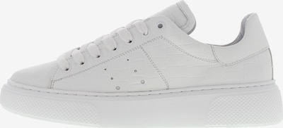 Tango Sneakers 'Alex' in White, Item view