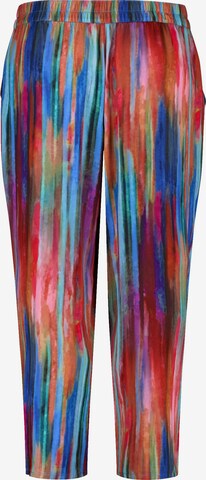 SAMOON Regular Pants in Mixed colors