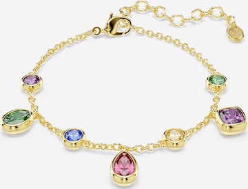auksinė Swarovski Apyrankė 'IMBER': priekis