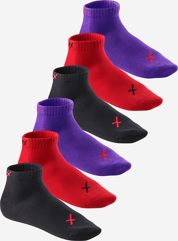 cflex Socks 'Lifestyle' in Purple: front