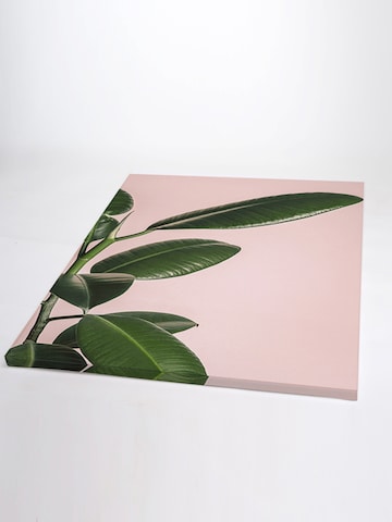 Liv Corday Bild 'Tropical Plant' in Weiß