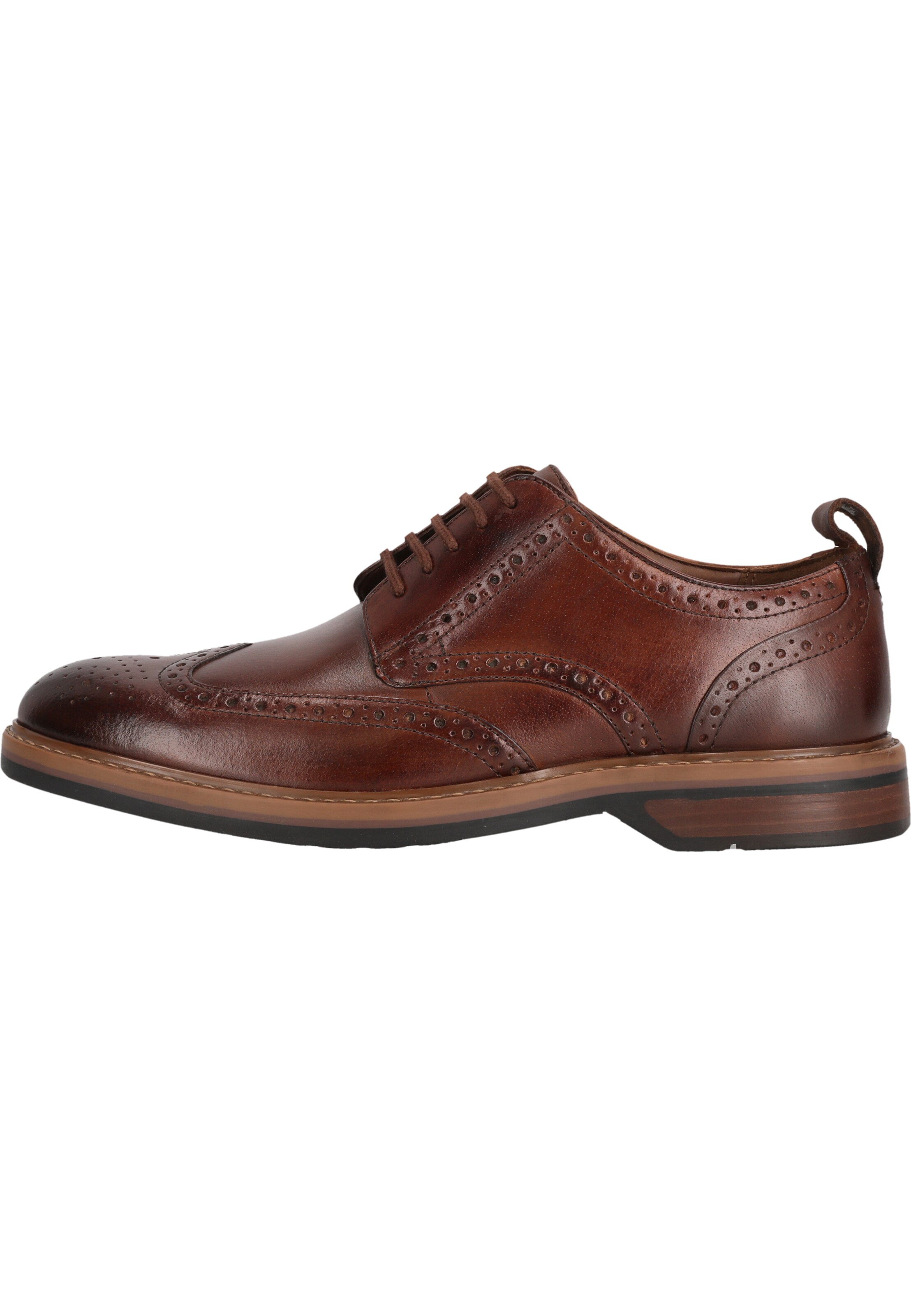 CLARKS Lace-Up Shoes 'Aldwin Limit' in Brown