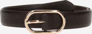 Ceinture 'Allie' Guido Maria Kretschmer Women en marron : devant