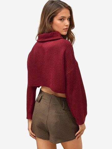 Hiccup Trui 'Pullover' in Rood