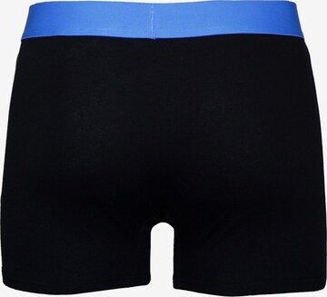U.S. POLO ASSN. Boxer shorts in Black