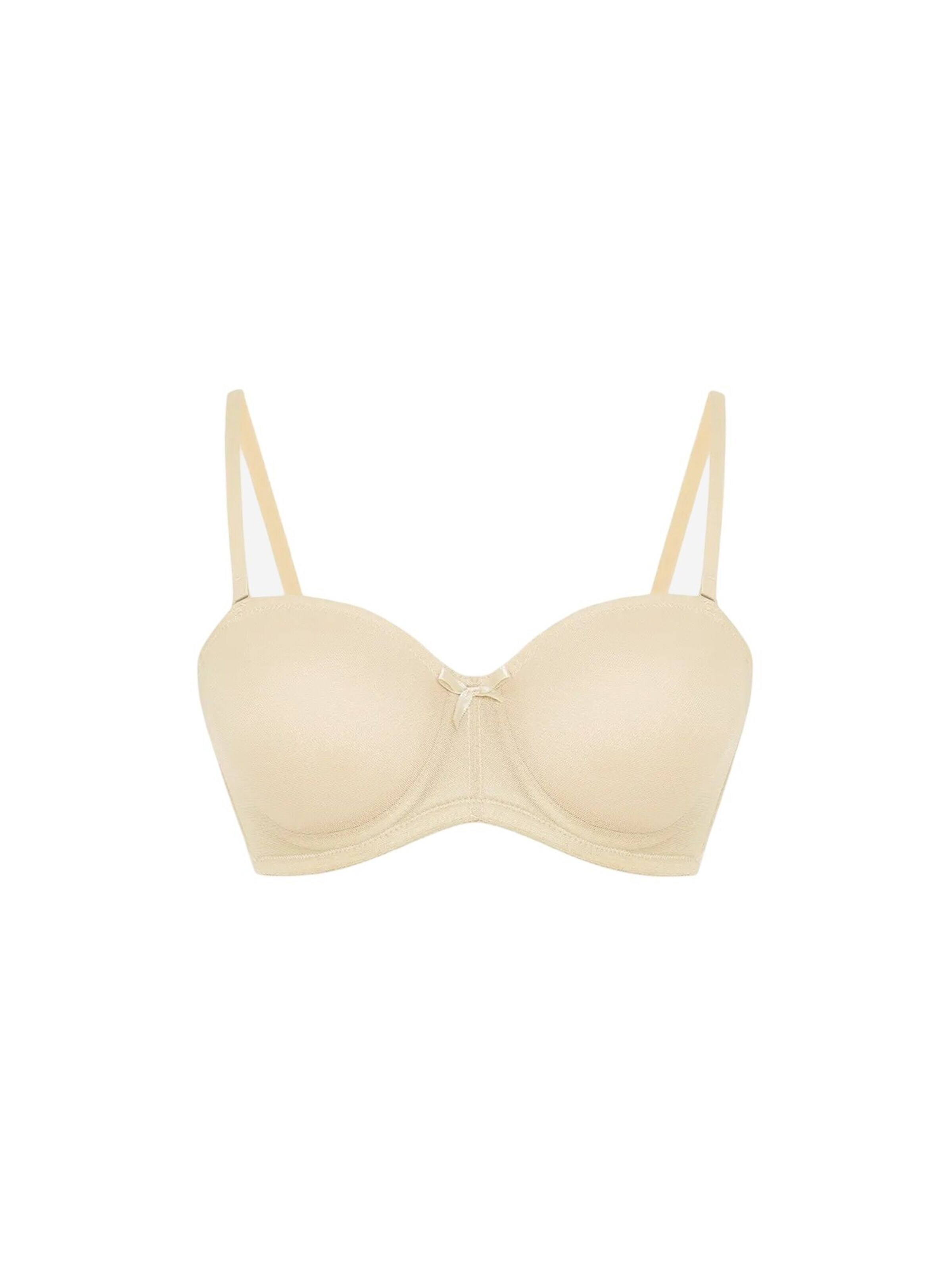 Penti Classic Bra 'BHs & Bralettes' in Beige: front