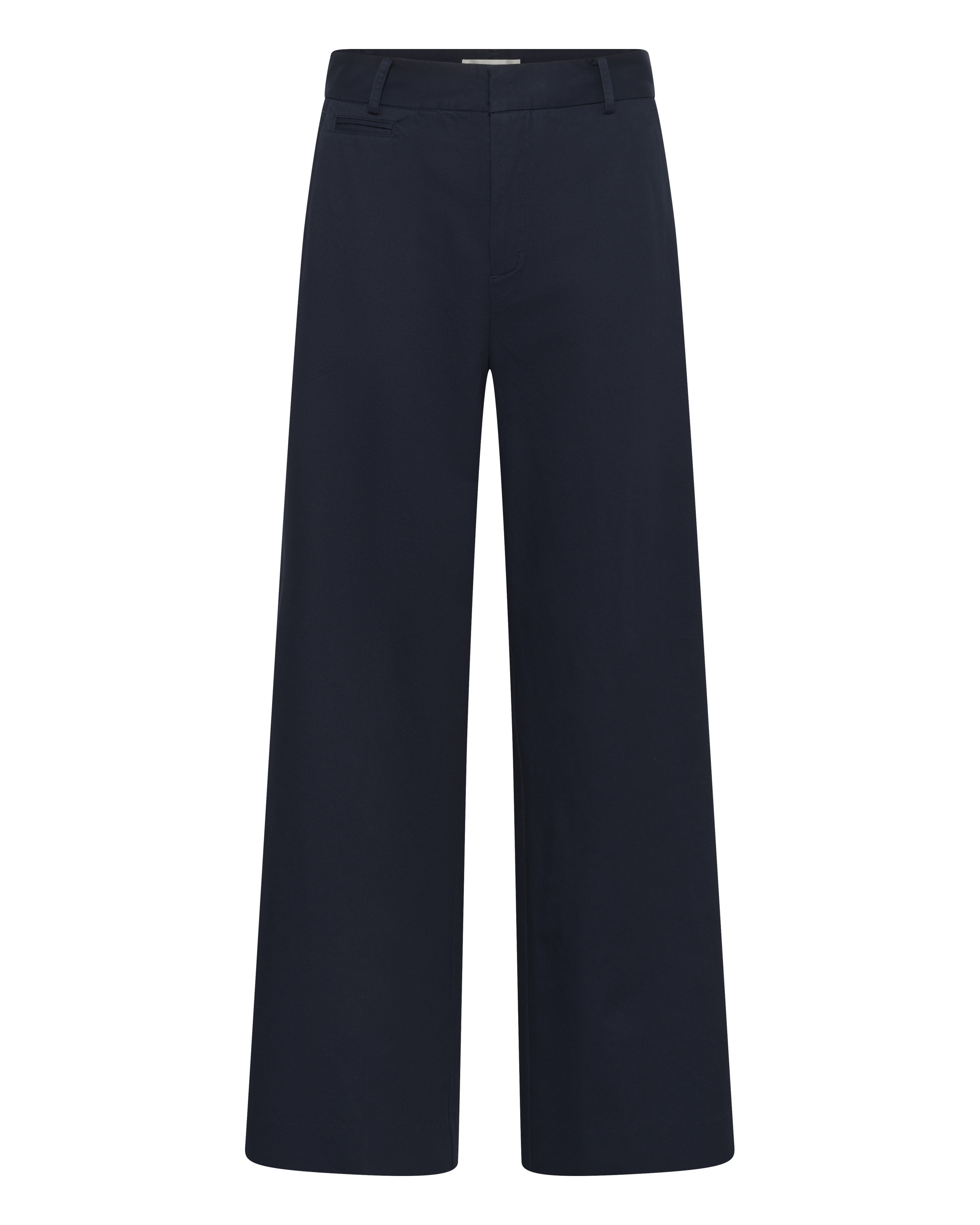 InWear Hose in Blau: Vorderseite