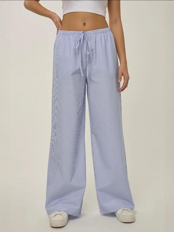 Hiccup Wide leg Broek in Blauw