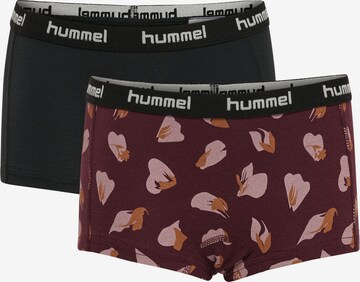 Hummel Unterhose 'Carolina' in Rot: predná strana