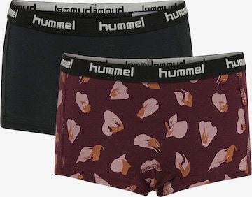 Hummel Performance Underwear 'Carolina' in Red: front