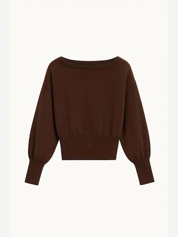Pullover 'Pullover' di MixRay in marrone