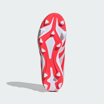 Chaussure de sport 'Predator Club' ADIDAS PERFORMANCE en rouge