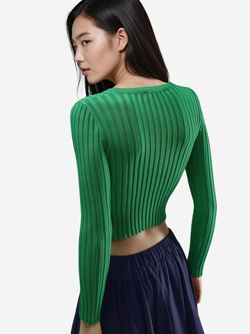 My fashion Trui 'Pullover' in Groen