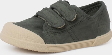 Pisamonas Sneakers in Groen: voorkant
