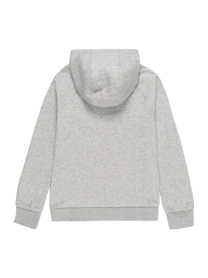 Sportswear UNDER ARMOUR Sweaters & zip-up hoodies Grey