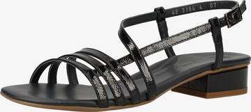 Paul Green Sandalen met riem in Blauw: voorkant