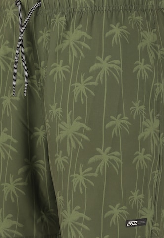 Cruz Swimming shorts 'Rohan' in Green