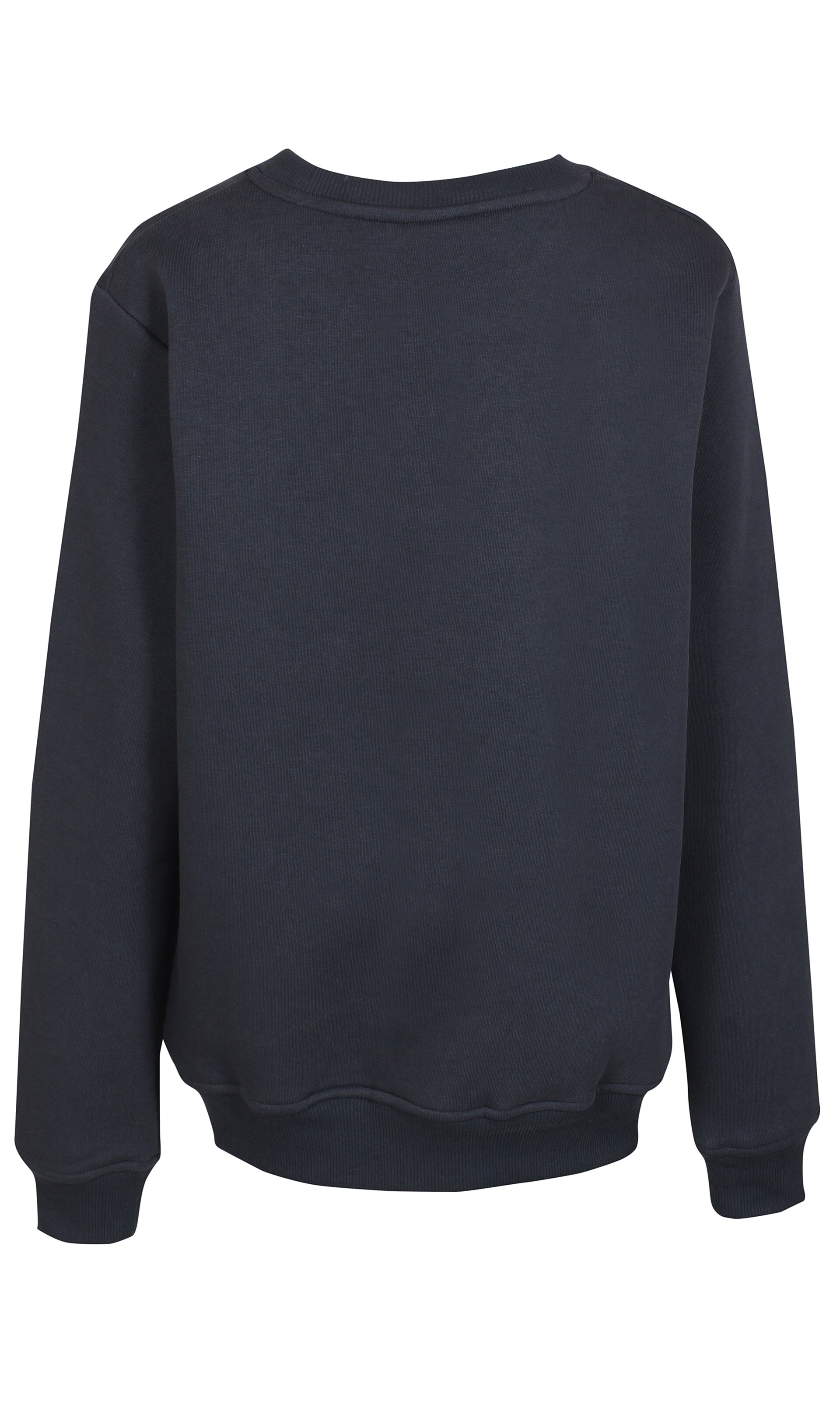 Bluză de molton 'Erik-Emil' de la Bruuns Bazaar Kids pe albastru