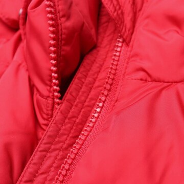 Aspesi Jacket & Coat in S in Red