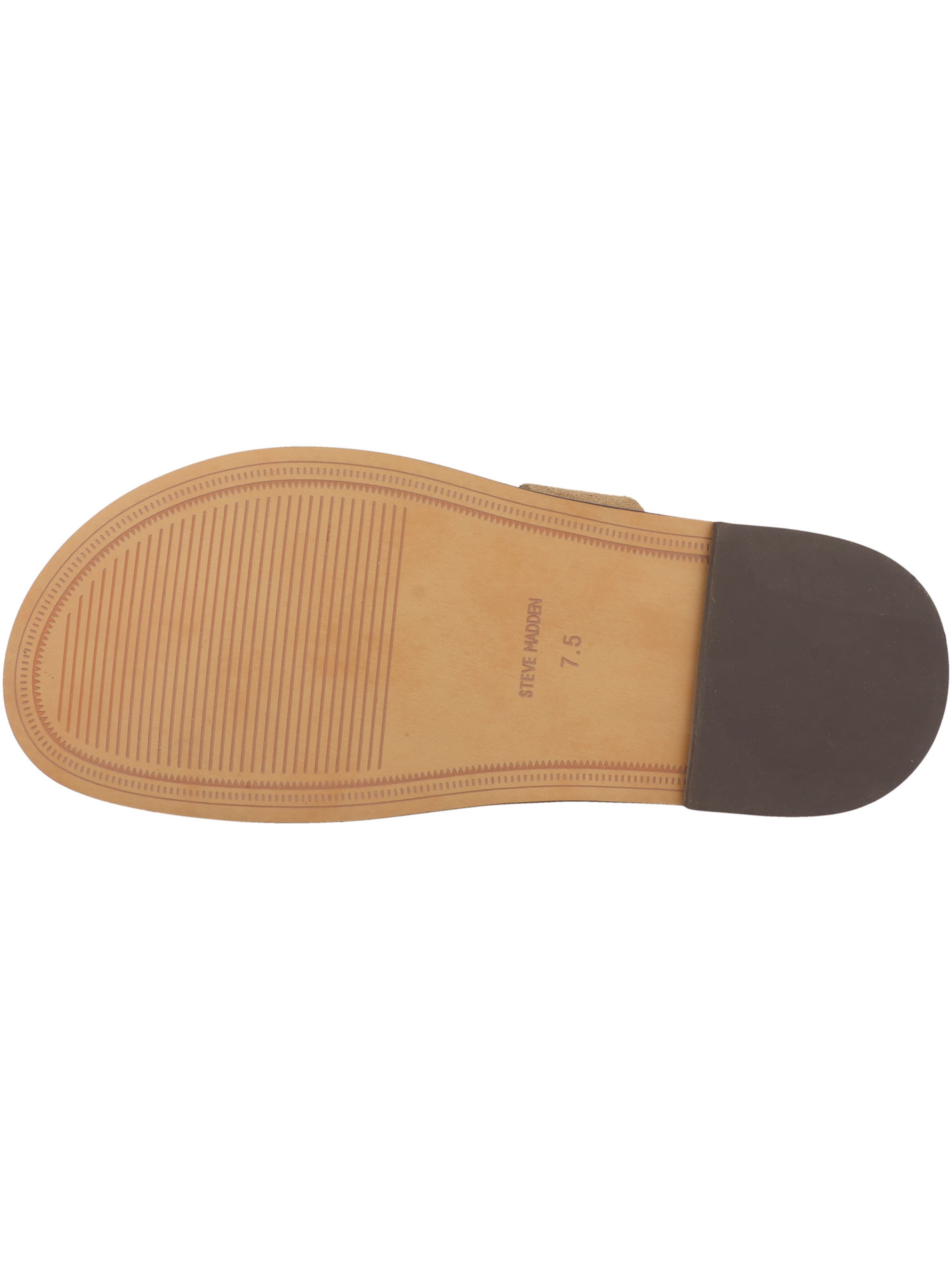 STEVE MADDEN Sandalen met riem 'Wendell' in Bruin