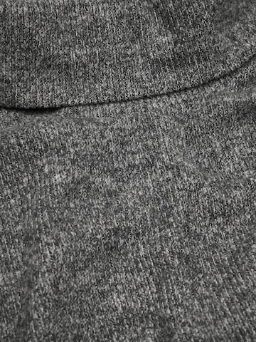Cellbes of Sweden Trui in Grijs