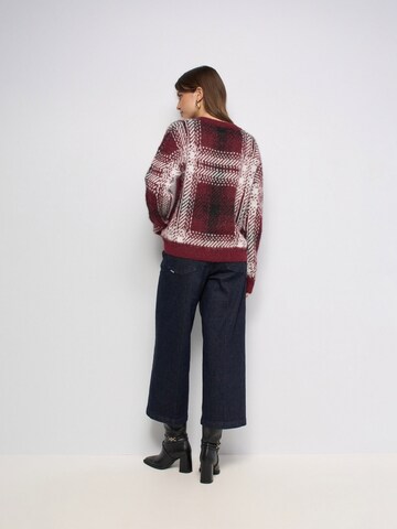 Salsa Jeans Trui in Gemengde kleuren