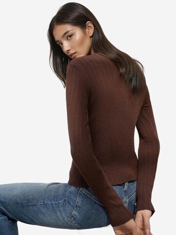 Hiccup Sweater in Brown