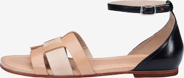 Sandalo di LLOYD in beige: frontale