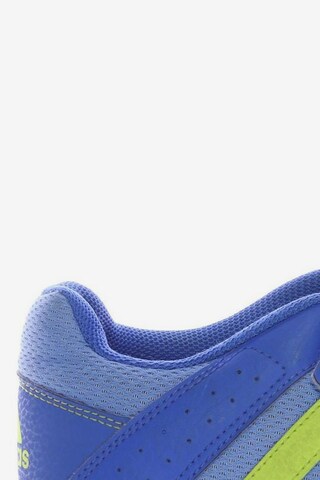 ADIDAS PERFORMANCE Sneaker 38 in Blau