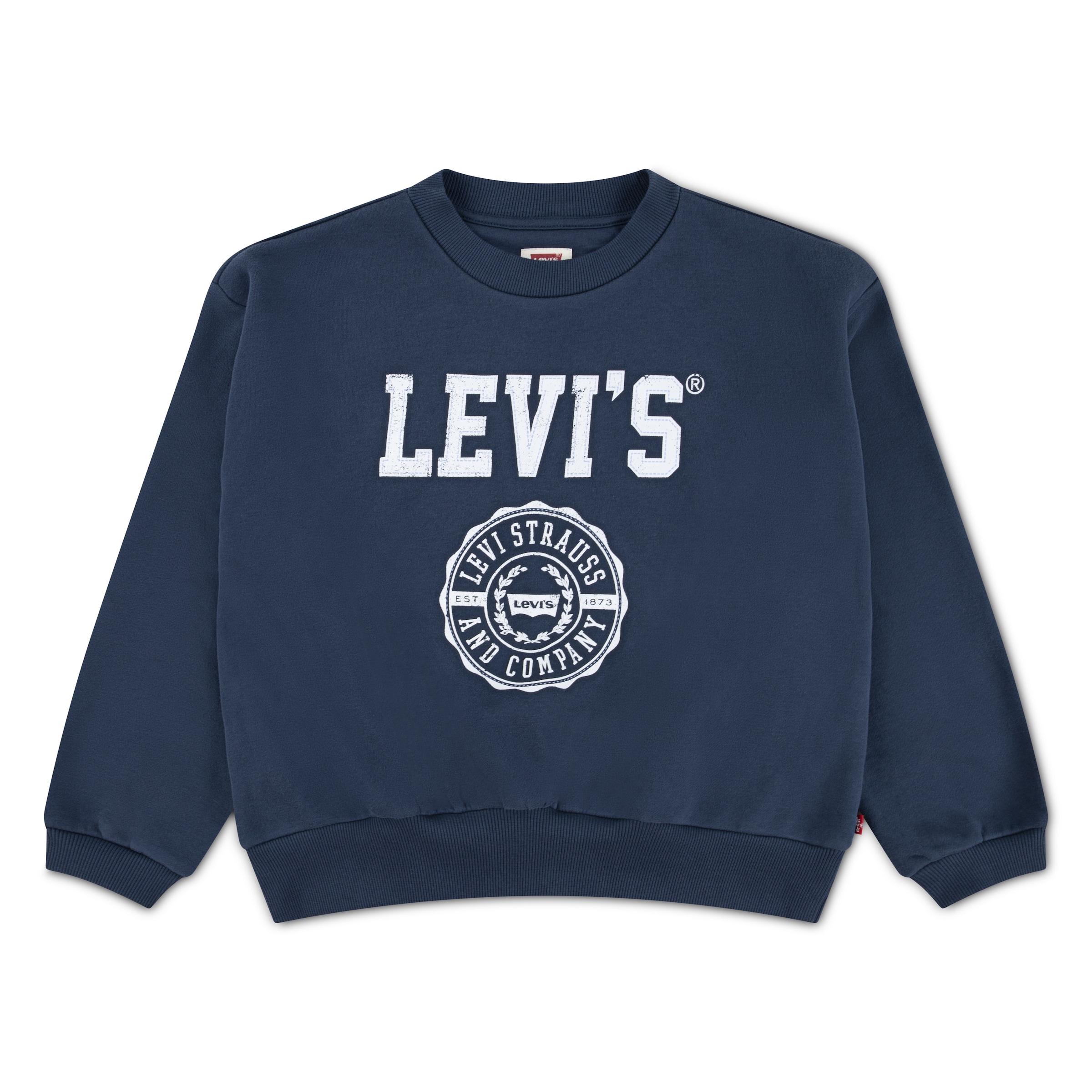 Levi's Kids Sweatshirt in Blue: front