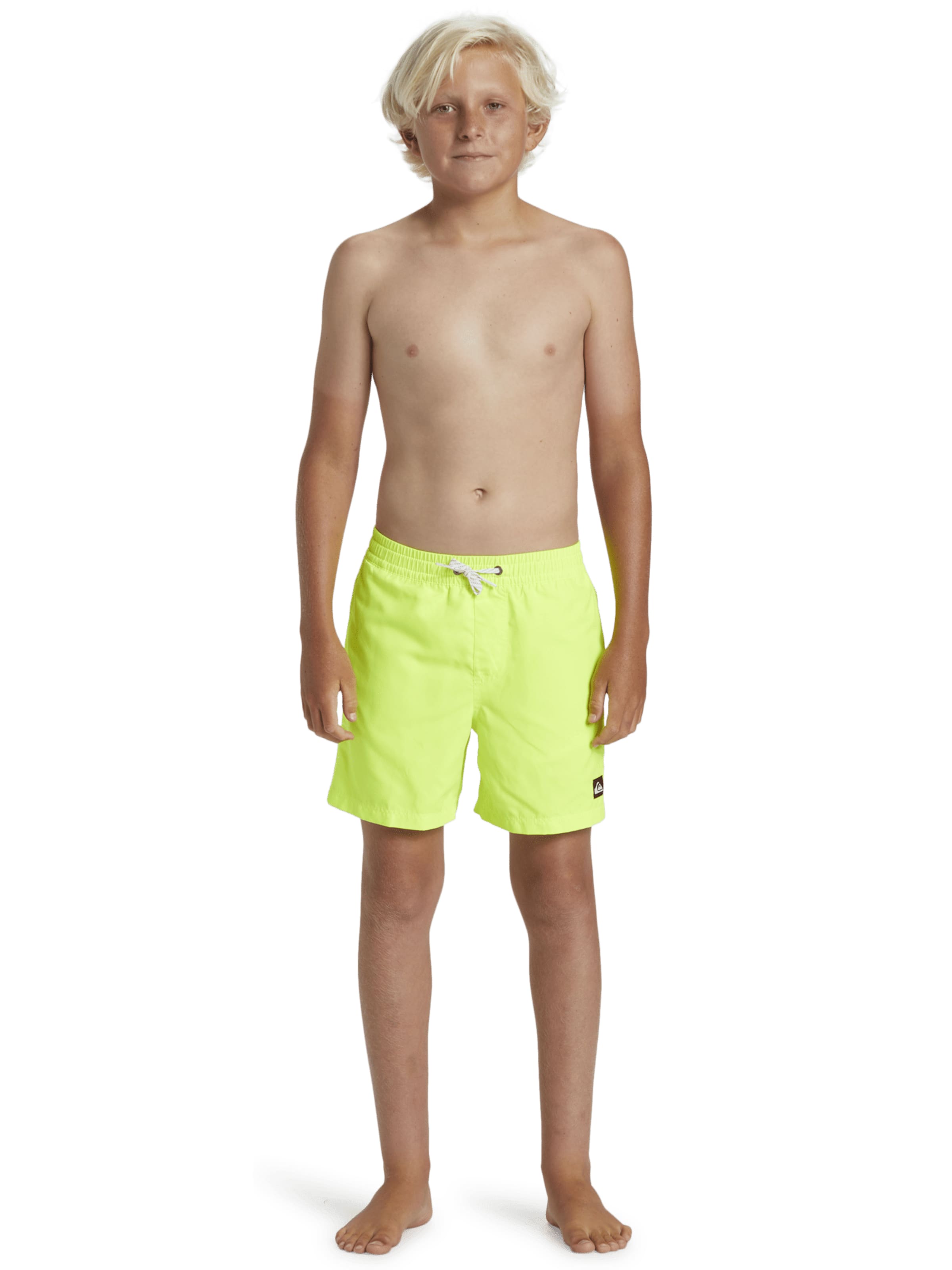 QUIKSILVER Zwemshorts 'Everyday Solid Volley' in Geel