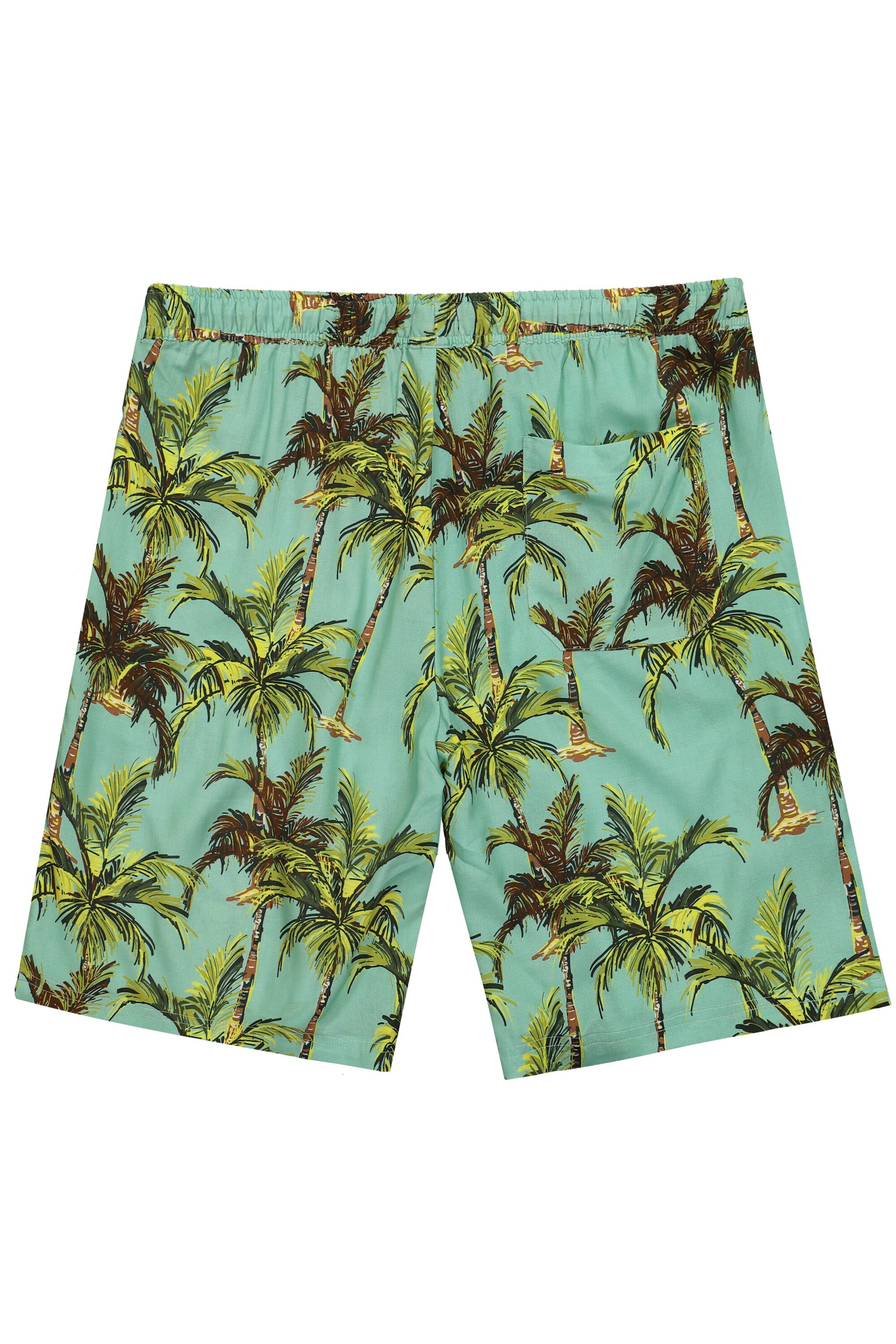 JP1880 Regular Trousers in Green