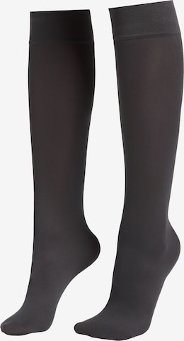 CALZEDONIA Knee High Socks in Grey: front