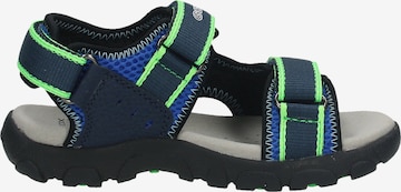 Chaussures ouvertes GEOX en bleu